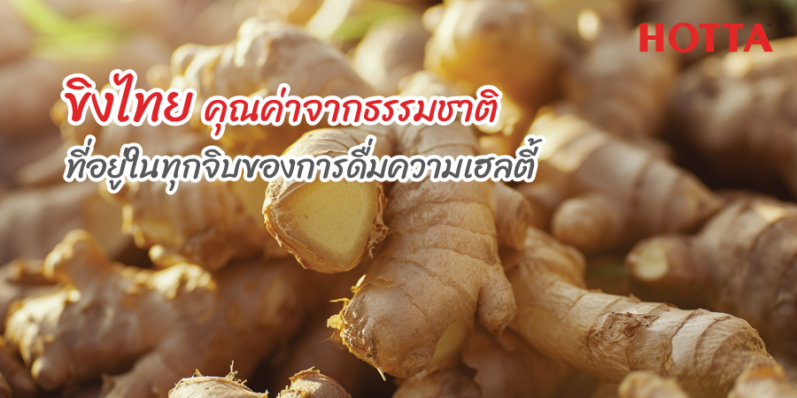 ขิงไทย